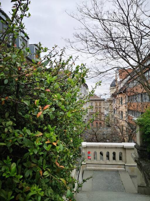 Apartman Castlehill1011- Free Parking And Ac By Fishermans Bastion *
